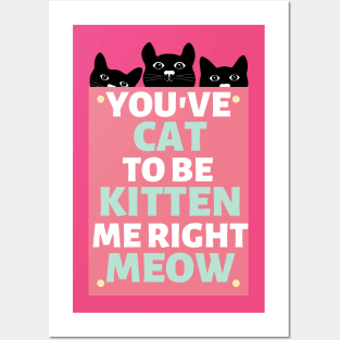 You've Cat to be Kitten Me Right Meow Posters and Art